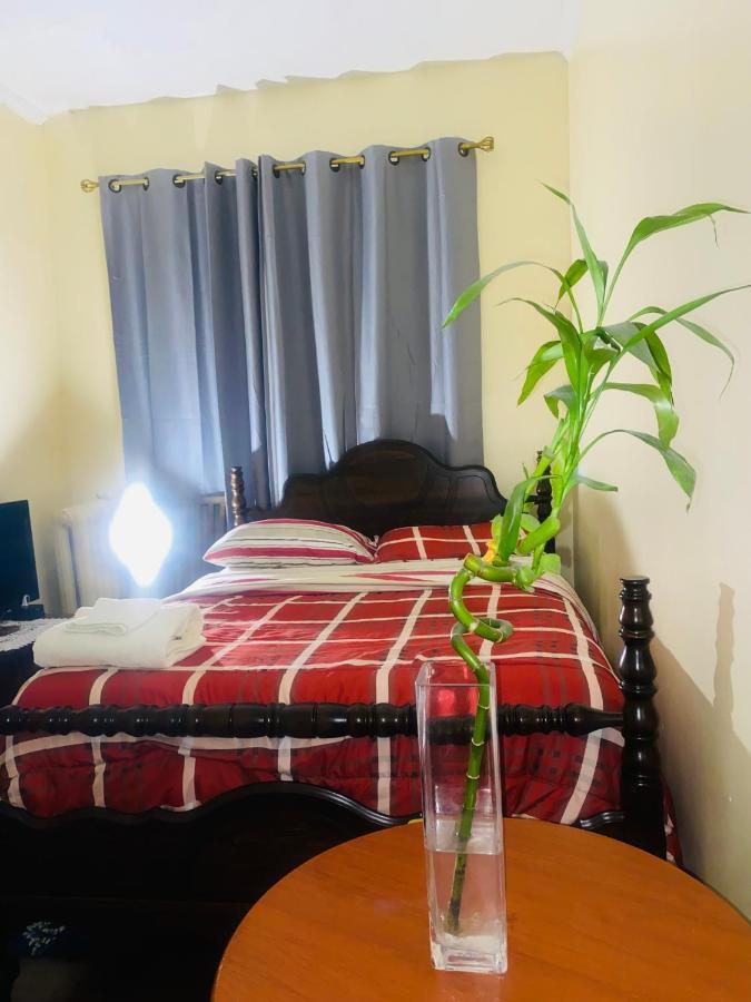Cozy Comfort In Brooklyn New York Esterno foto